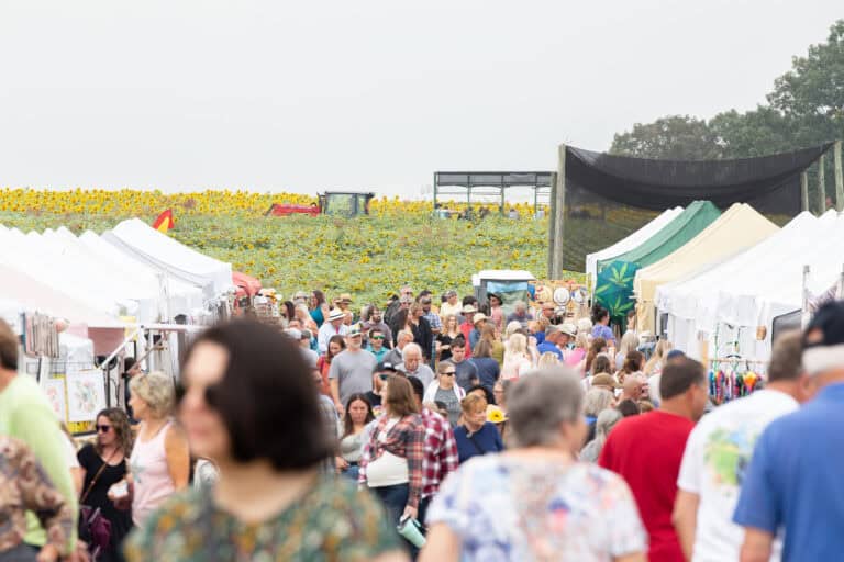 Beaver Dam Farm Sunflower Festival Announces 10th Anniversary