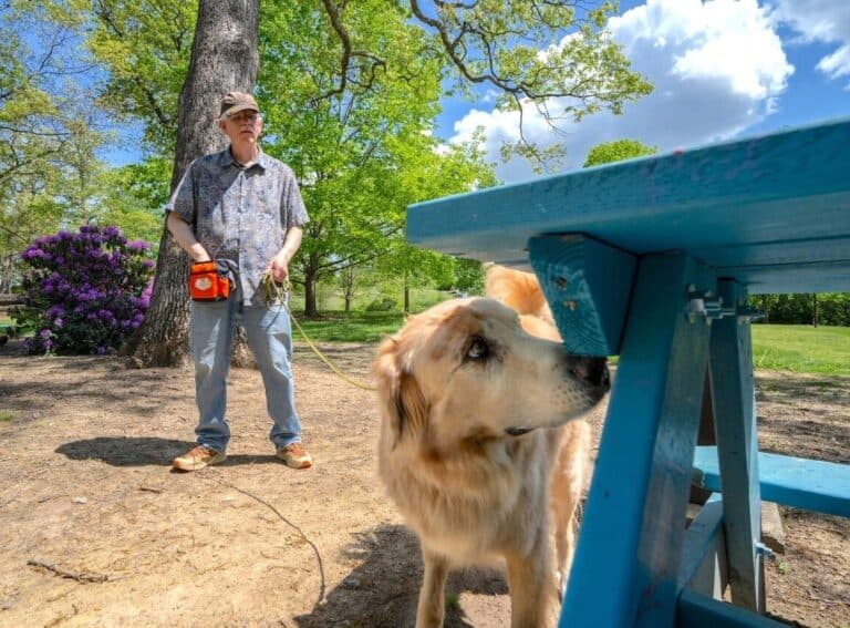 Man’s best friend could be the spotted lanternfly’s worst enemy