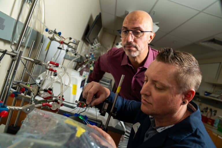 Why Some Heart Drugs Become Risky with Low Sodium, VA Tech Study Finds
