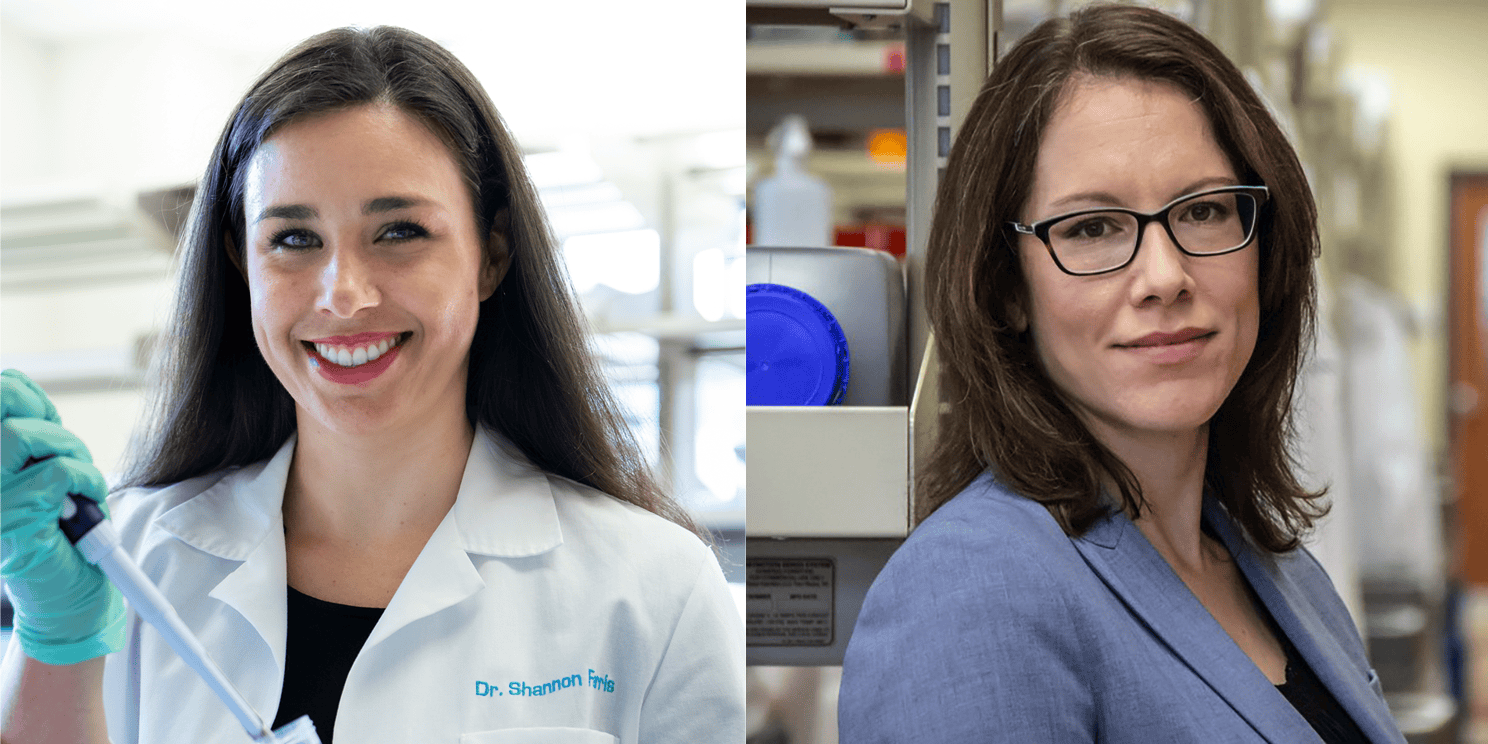Fralin researchers investigate why memory circuits break down in Alzheimer’s disease