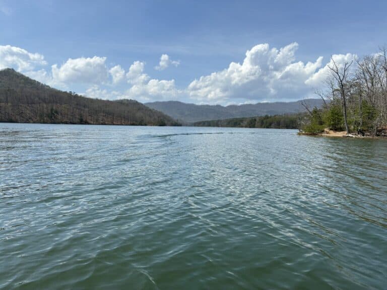 VA Tech Team Advances Ecological Forecasting with New NSF Grant