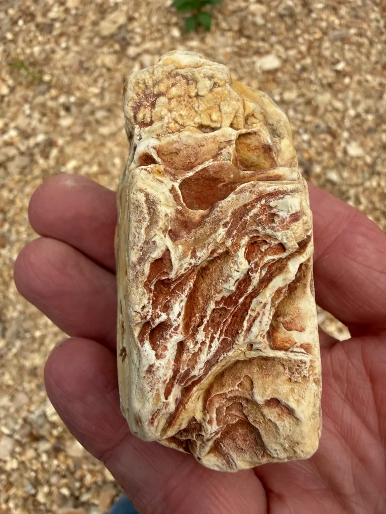 FRED FIRST: Small Moments. Long Life