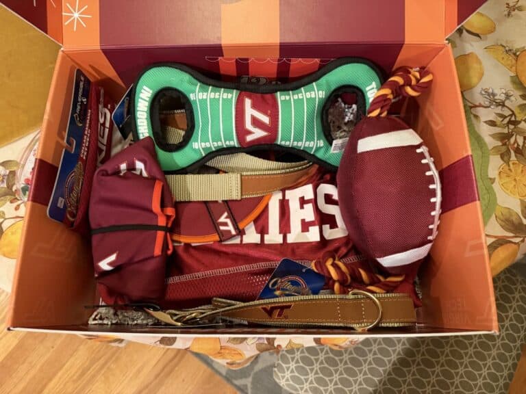 Hokie Pride Unboxed: Join in the Fun of Hokie Gear on Instagram