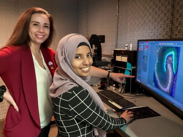 New Study Shows How Neurons Organize Genetic Messages