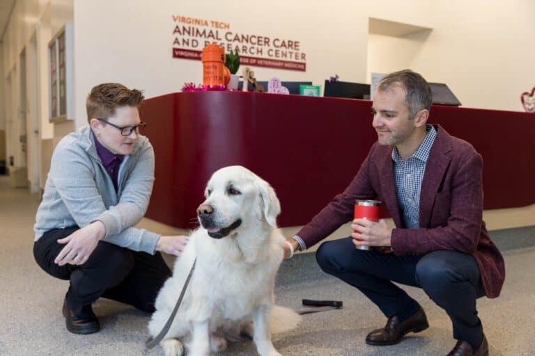 Beloved Roanoke Therapy Dog Battles Cancer With Community Support