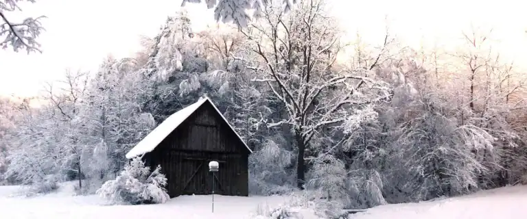 FRED FIRST: Facing Forward. Facing Back.