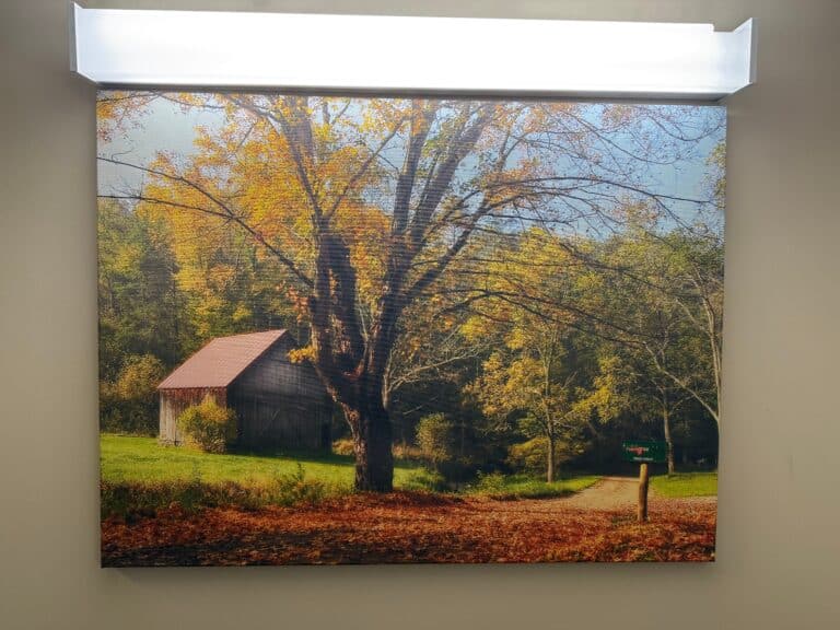 FRED FIRST: There And Back Again